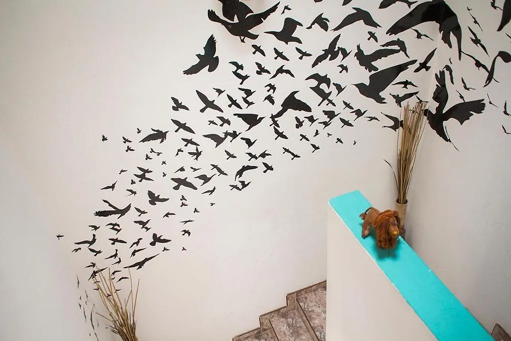 Lion Hostel Guadalajara México