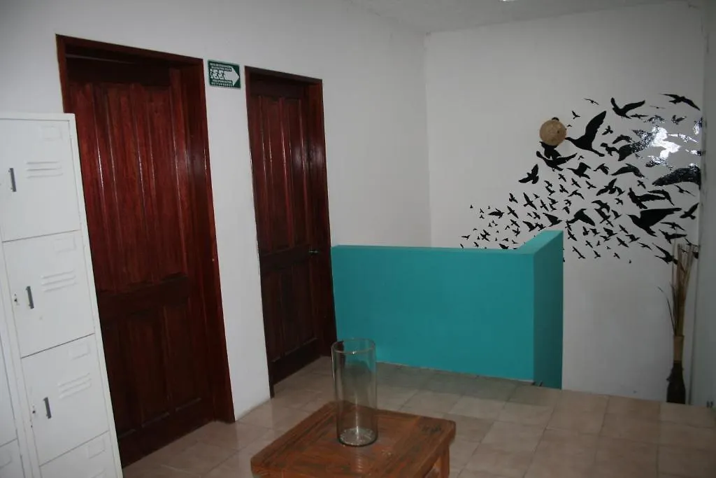 Lion Hostel Guadalajara