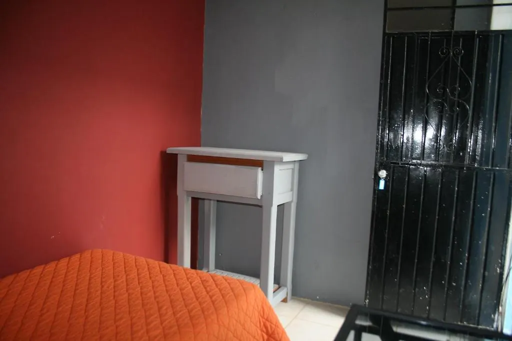 Lion Hostel Guadalajara Mexico
